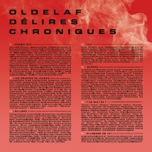 Délires Chroniques (Édition Vinyle)