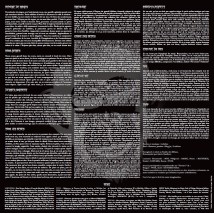 Mémoire de singes (Remastered 2026) - Édition Vinyle